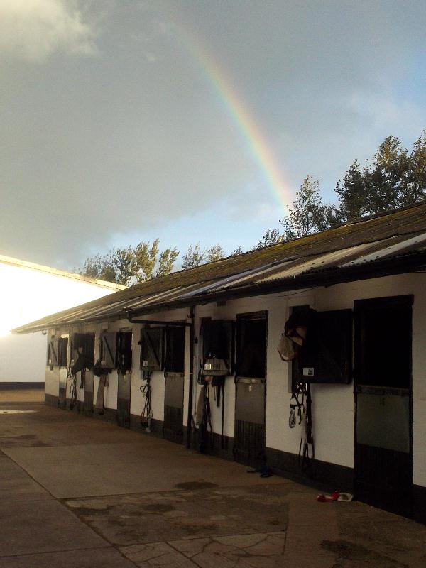 Rainbow_main_yard
