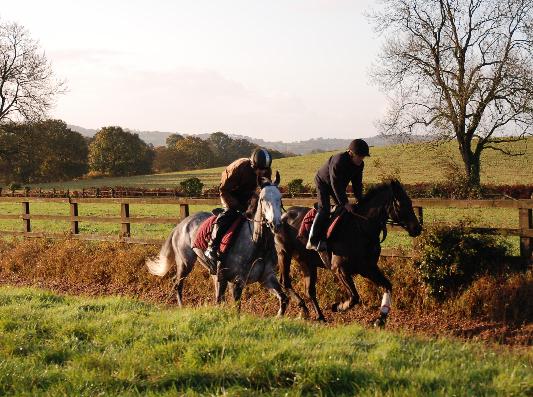 Rose_of_the_Moon__Quinte_Du_Chatelet_gallops