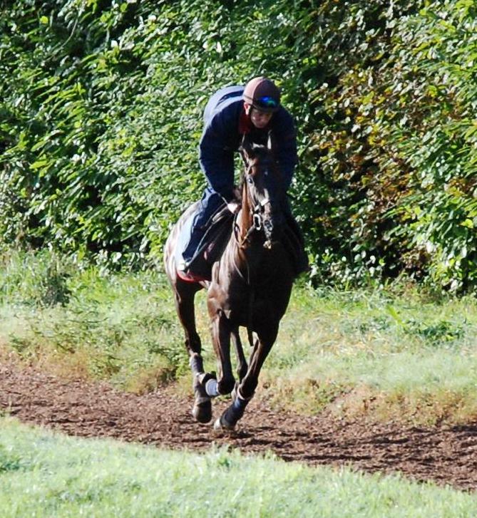 Royal_Mile_gallops