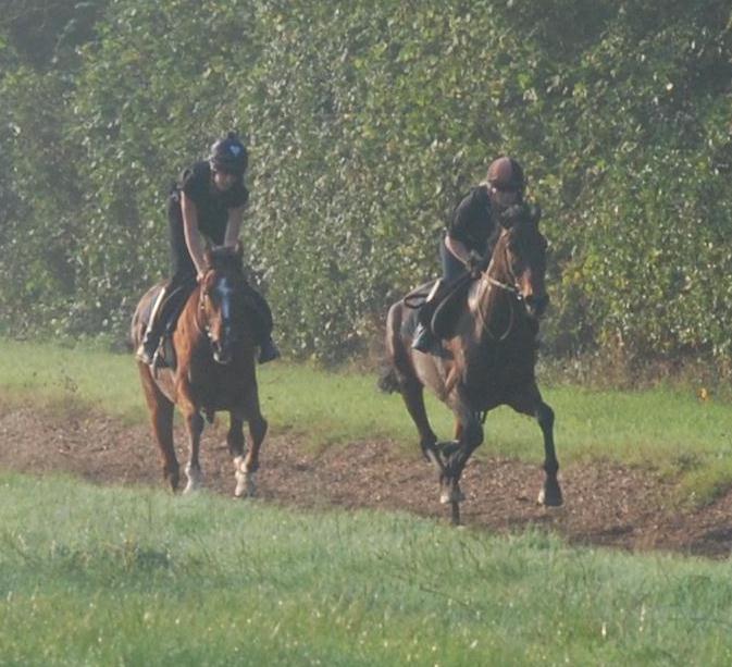 Shaking_Hands__Another_Display_gallops