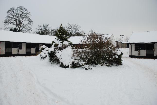 Snow_Main_Yard_Dec_10