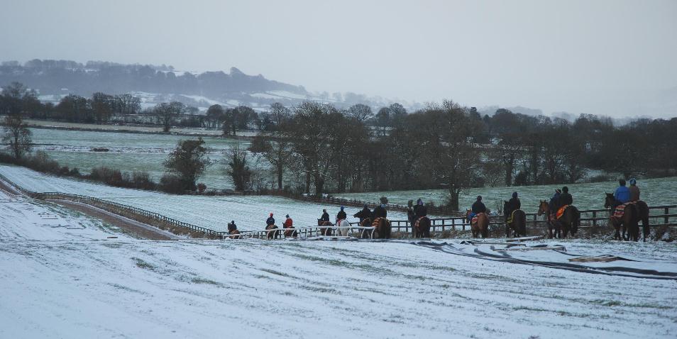 Snow_gallops_161210