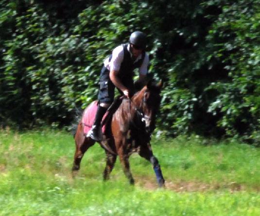 Starlife_gallops_web