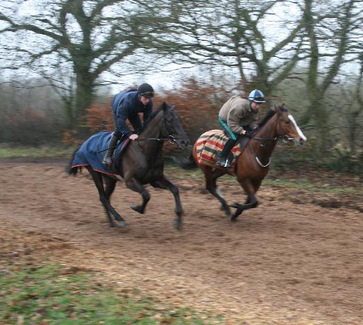 Street_Entertainer__Decoy_gallops