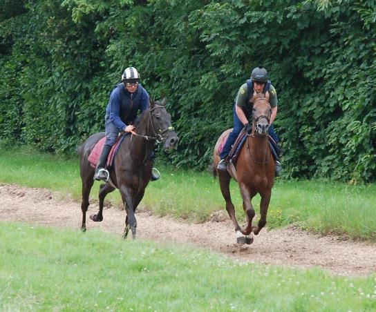 Street_Entertainer__lucys_Perfect_gallops