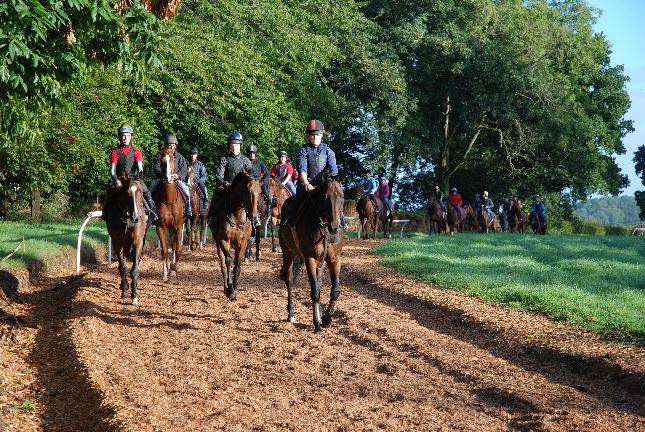 String_gallops_Sept_2010