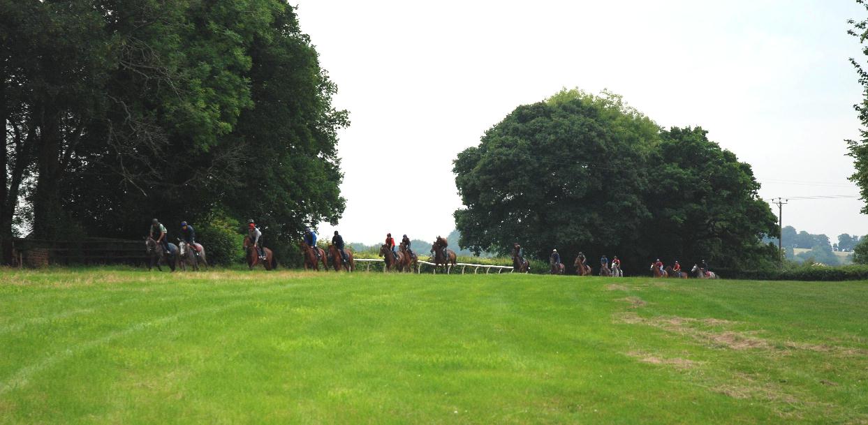 String_on_gallops