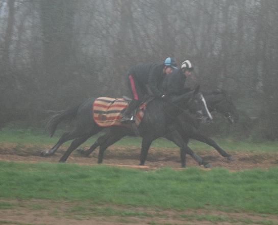 Sure_Josie_Sure__Street_Entertainer_gallops