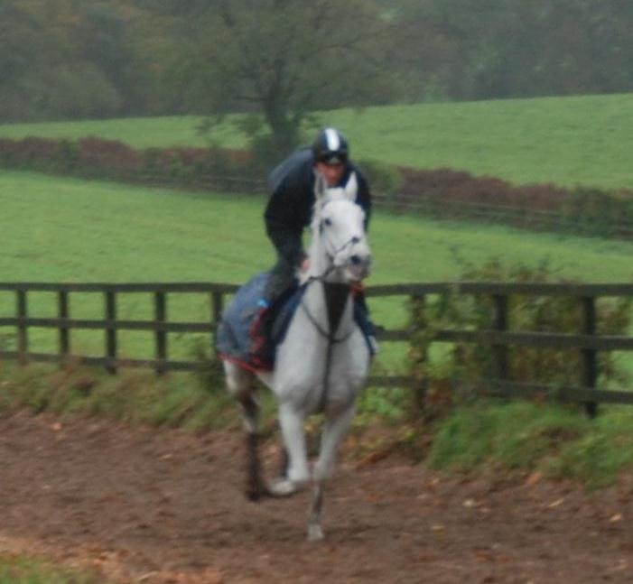 Swing_Bill_gallops_nov13