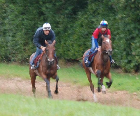 Taratata_Sivola__African_Broadway_gallops
