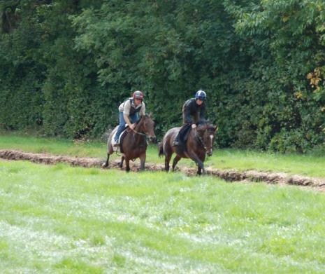 The_Tracey_Shuffle__Theyellowlough_gallops