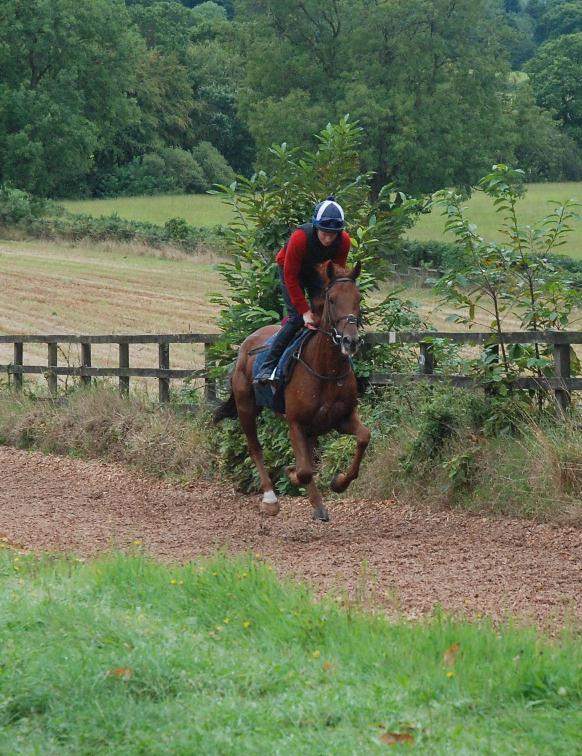 Top_Wood_gallops