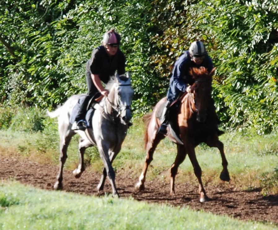 Vergrigio__Alderluck_gallops