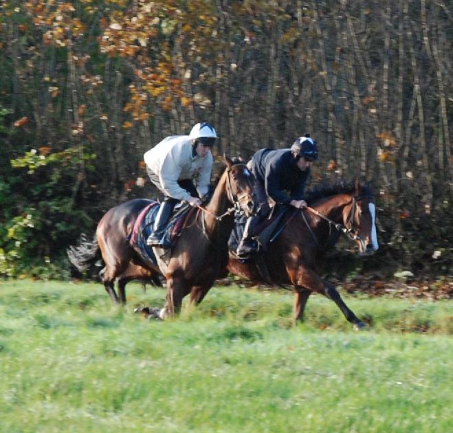 War_Singer__Decoy_gallops