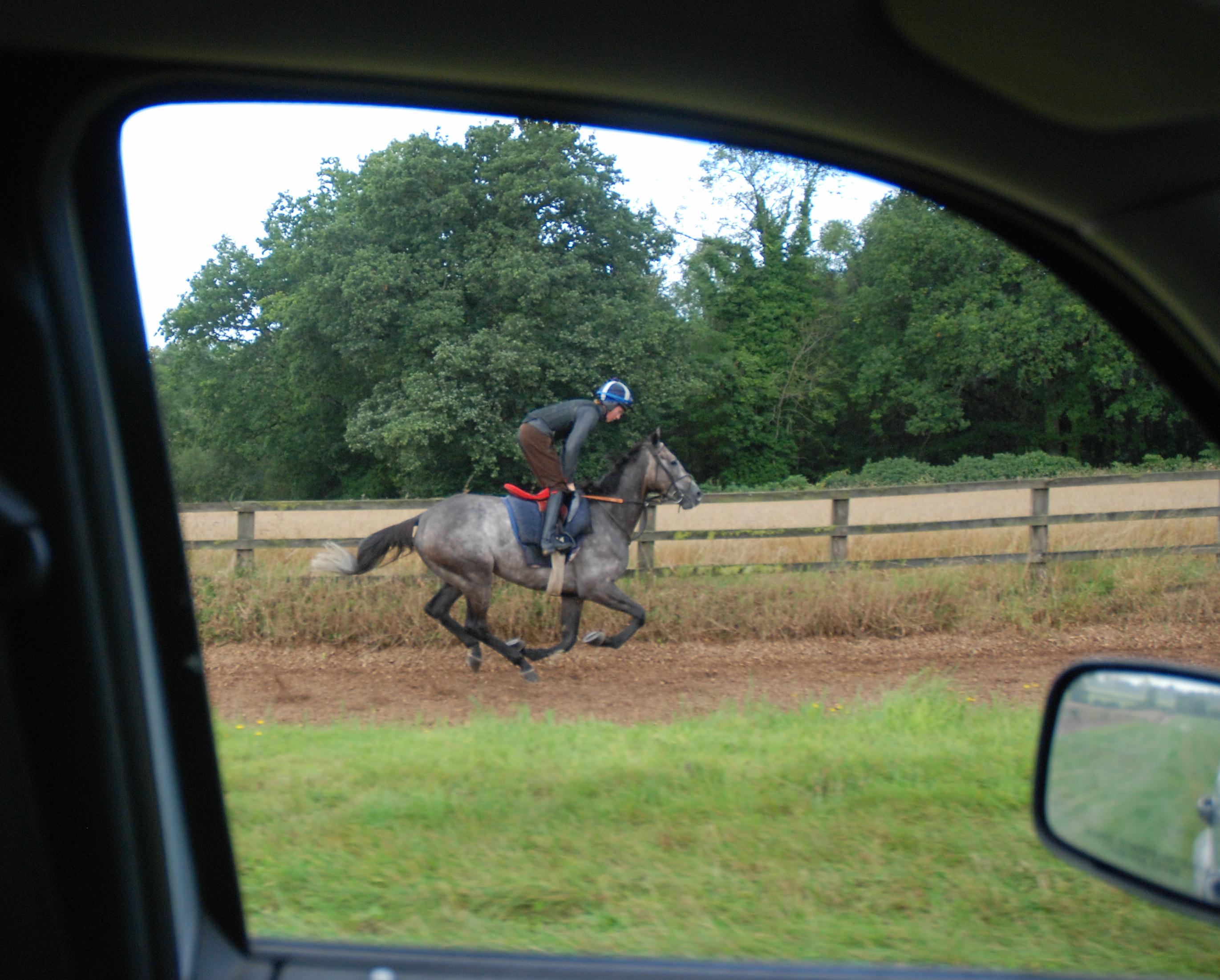 Water_Garden_gallops