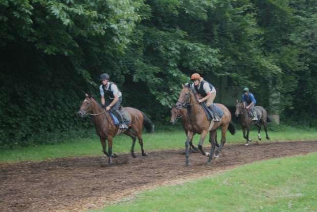 on_the_gallops_miserable