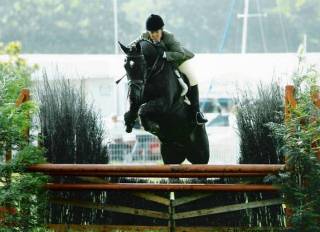 Northern Madrik show jumping